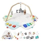 LOVEVERY | The Play Gym | Award Winning For Baby , Stage-Based Developmental Activity Gym & Play Mat for Baby to Toddler