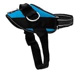 ShawnCo Essential Dog Harness, No-Pull Pet Vest with 3 Leash Clips, No Choke, Reflective, Adjustable and Padded, for Easy Walking and Training for Small, Medium and Large Dogs (Oceanic Blue, Medium)