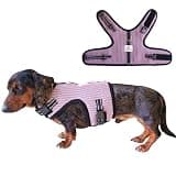 Mini Dachshund Harness Vest, No Pull & No Armpit Rub Dachshund Harness, Escape Proof Adjustable Dog Harness for Walking (Pink, L:(Chest 20"-24"))