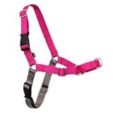 PetSafe Easy Walk Harness, No Pull Dog Harness, Medium, Raspberry | Patented Martingale Loop Gives Gradual Shoulder Pressure to Stop Pulling, Front-Chest Leash Clip Prevents Gagging