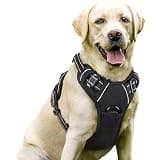 rabbitgoo Dog Harness, No Pull for Large Dogs with 2 Leash Clips, Pet Vest | No Choke with Handle, Adjustable Soft Padded, Reflective, Easy Control for Walking, Black, Large