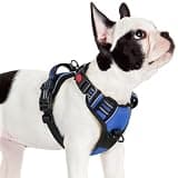 rabbitgoo Dog Harness Small Sized, Updated Easy On & Off with 3 Buckles