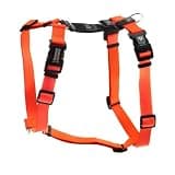 Blue-9 Buckle-Neck Balance Harness, Fully Customizable Fit No-Pull Harness, Ideal for Dog Training and Obedience, Made in The USA, Orange, Medium