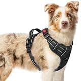 rabbitgoo Dog Harness Medium Sized, Updated Easy On & Off with 3 Buckles