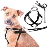 2 Hounds Design Freedom No Pull Dog Harness and Leash, 1" LG, Black | Promotes Easy Walking & Comfortable Control, Secure Fit, Adjustable Harness and Leash Set for Large Sized Dogs, Made in USA