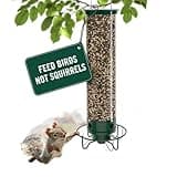 Droll Yankees Squirrel Proof Bird Feeder for Outdoors, 5 lb Seed Capacity