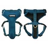 DJANGO Adventure Dog Harness - Stylish and Durable Small Dog Harness for Outdoor Adventures and Everyday Wear - Indigo Blue Neoprene Adjustable Harness for Dogs with Reflective Piping & Brass D-Ring