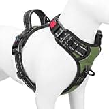 PHOEPET No Pull Dog Harness with Handle Front & Back Clip, Easy on Lockable Snap Buckle at Neck, Adjustable Reflective Vest with Handle for Small Medium Large Dogs (L, Misty Green)