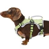 Huntboo Escape Proof Dog Harness, Dachshund Harness, Reflective Dog Harness with Handle, Durable,Adjustable Vest for Small Medium Large Dogs Walking, Training, and Running Gear (Green,S)