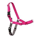 PetSafe Easy Walk Harness, No Pull Dog Harness, Medium, Raspberry