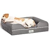 PetFusion Ultimate Orthopedic Dog Bed, Memory Foam, Medium, Waterproof