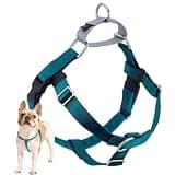 2 Hounds Design Freedom No Pull Dog Harness, Adjustable Harness, Easy Walking & Comfortable Control, Fits Small, Medium & Large Dogs, Solid Colors, Made in USA, 1" MD, Teal