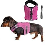 Hilspace Mini Dachshund Harness – No Armpit Rub, Escape Proof, Reflective, No Pull Vest-Style Dachshunds Harness,Breathable Mesh Dog Harness (Rose Red, M: Chest 42-52cm (16.5"-20.5"))