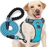 tobeDRI No Pull Dog Harness Adjustable Reflective Oxford Easy Control Medium Large Dog Harness with A Free Heavy Duty 5ft Dog Leash, Blue, L