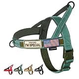 Annchwool No Pull Dog Harness with Soft Padded Handle,Reflective Strip Escape Proof and Quick Fit to Adjust Dog Harness,Easy for Training Walking for Small & Medium and Large Dogs(Green,M)