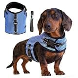 Hilspace Mini Dachshund Harness Vest, No Pull & No Armpit Rub Dachshund Harness, Escape Proof Adjustable Dog Harness for Walking (Blue, M: Chest 42-52cm (16.5"-20.5"))